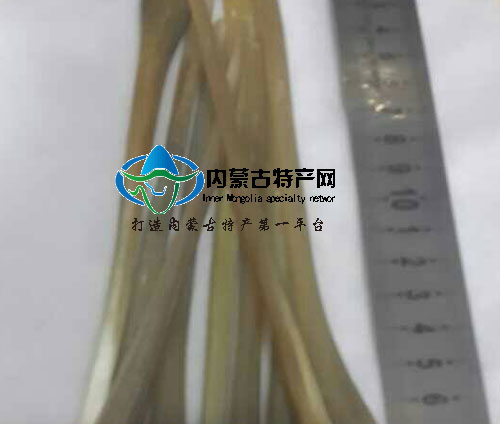 17c吃瓜网
民族风发簪 纯手工 自然牛角簪子 盘发发针