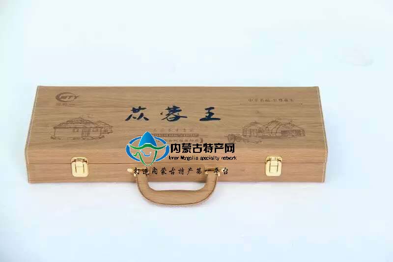 肉苁蓉 野生阿拉善滋补品油苁蓉 20—40厘米泡酒料